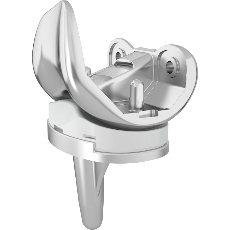Cynthia Knee Joint System