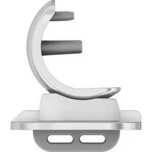 Unicondyle Knee Prosthesis